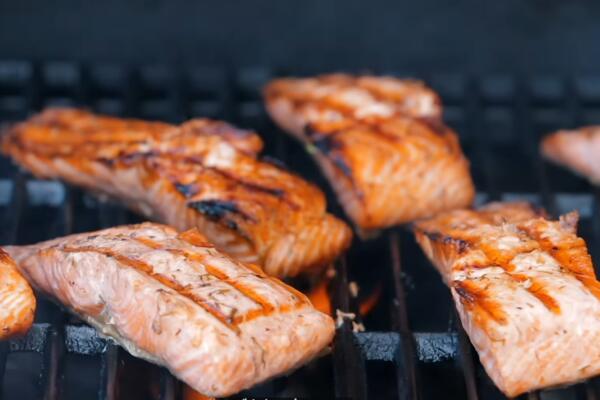 Grilled Salmon Fish