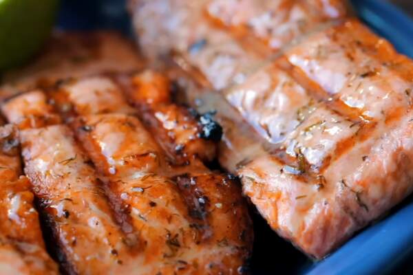 Grilled Salmon Fish