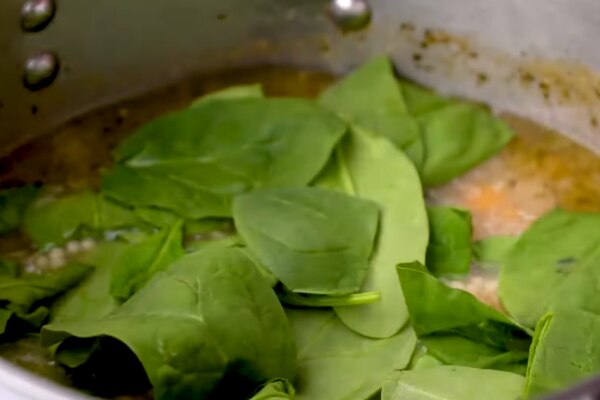 Italian Wedding Soup