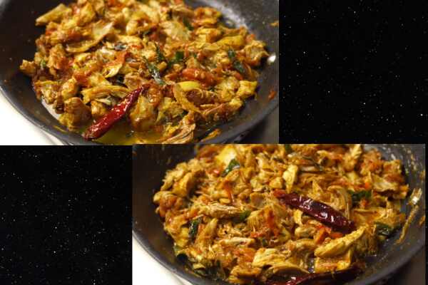 Shredded Chicken Recipes 9