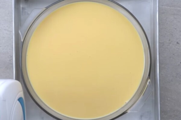 Leche Flan Recipe